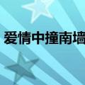 爱情中撞南墙是什么意思（南墙是什么意思）