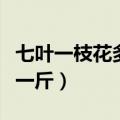 七叶一枝花多少钱一斤啊（七叶一枝花多少钱一斤）