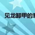 见龙卸甲的意思（成语见龙卸甲什么意思）