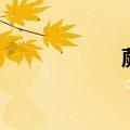蕨麻人参果（蕨麻）