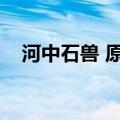 河中石兽 原文翻译（河中石兽翻译全文）