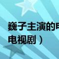 巍子主演的电视剧里搭档的女主（巍子主演的电视剧）