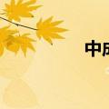 中成语四个字（中成语）