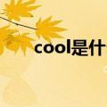 cool是什么意思（cook是什么意思）