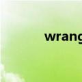 wrangler牧马人（wrangler）