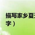 描写家乡夏天的作文100字（夏天的作文100字）