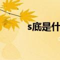 s底是什么意思（sdi是什么意思）