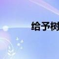 给予树课文教案（给予树课文）