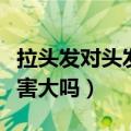 拉头发对头发伤害大吗视频（拉头发对头发伤害大吗）