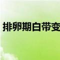 排卵期白带变化图解（排卵前后白带变化图）
