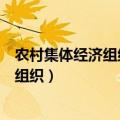 农村集体经济组织实行什么的双层经营体制（农村集体经济组织）