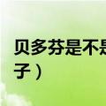 贝多芬是不是又聋又瞎（贝多芬是聋子还是瞎子）