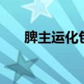 脾主运化包括哪几个方面（脾主运化）