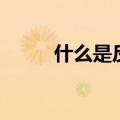 什么是反倾销法（什么是反倾销）
