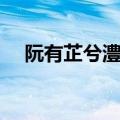 阮有芷兮澧有兰意思（阮有芷兮澧有兰）