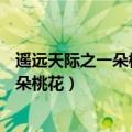 遥远天际之一朵桃花(女尊) 梦里不知身是客（遥远天际之一朵桃花）