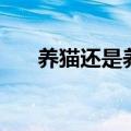 养猫还是养狗很纠结（养猫还是养狗）