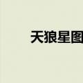 天狼星图片头像大全（天狼星图片）