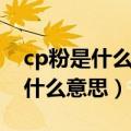 cp粉是什么意思网络用语怎么说的（cp粉是什么意思）