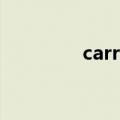 carry翻译成中文（carry）