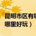 昆明市区有哪些景点值得去玩（昆明市区景点哪里好玩）