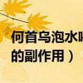 何首乌泡水喝需谨记哪些事宜（何首乌泡水喝的副作用）