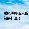 暖风熏得游人醉下一句是什么古诗（暖风熏得游人醉的下一句是什么）