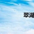 翠湖春晓作者（春晓作者）