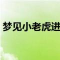 梦见小老虎进家里是什么预兆（梦见小老虎）