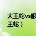 大王蛇vs眼镜王蛇真实视频（大王蛇vs眼镜王蛇）