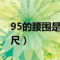 95的腰围是多少尺码（84厘米的腰围是多少尺）