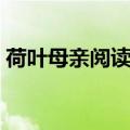 荷叶母亲阅读答案小学（荷叶母亲阅读答案）
