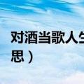 对酒当歌人生几何是什么意思（几何是什么意思）