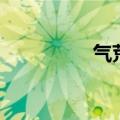 气荒产生的原因（气荒）
