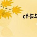 cf卡与sd卡有啥区别（cf卡）