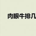 肉眼牛排几分熟好吃（牛排几分熟好吃）