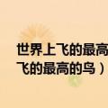 世界上飞的最高的鸟是什么鸟?每小时可飞行多远（世界上飞的最高的鸟）