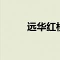远华红楼案十大女子（远华红楼）