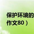 保护环境的英语作文80词（保护环境的英语作文80）