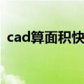 cad算面积快捷键命令（cad算面积快捷键）