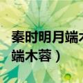 秦时明月端木蓉为什么姓盖的不救（秦时明月端木蓉）
