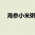海参小米粥的做法（小米炖海参的做法）