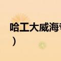 哈工大威海专业排名A（哈工大威海专业排名）