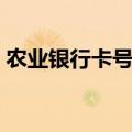 农业银行卡号网上查询（农业银行帐号查询）