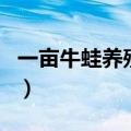 一亩牛蛙养殖利润大不大（一亩牛蛙养殖利润）