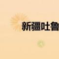 新疆吐鲁番哈密瓜（吐鲁番哈密瓜）