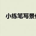 小练笔写景作文100字（写景作文100字）