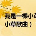 我是一棵小草歌曲草帽姐是谁唱的（我是一棵小草歌曲）