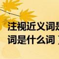 注视近义词是什么词语有哪些呢（注视的近义词是什么词）