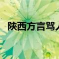 陕西方言骂人顺口溜押韵（陕西方言骂人）